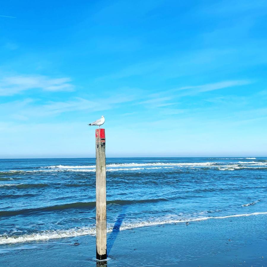 Hotel Zeerust Texel Де-Коог Екстер'єр фото